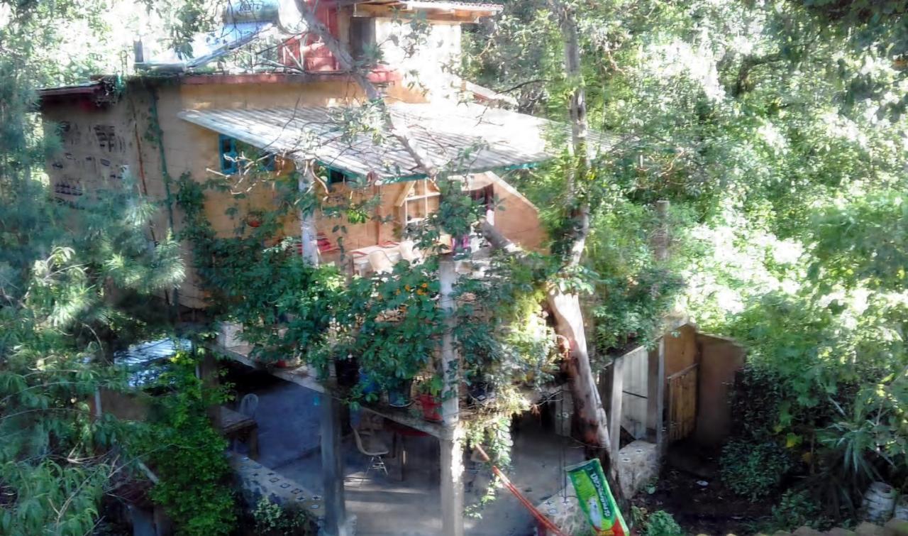 Casa Ecologica Lejlighed Tepoztlán Eksteriør billede