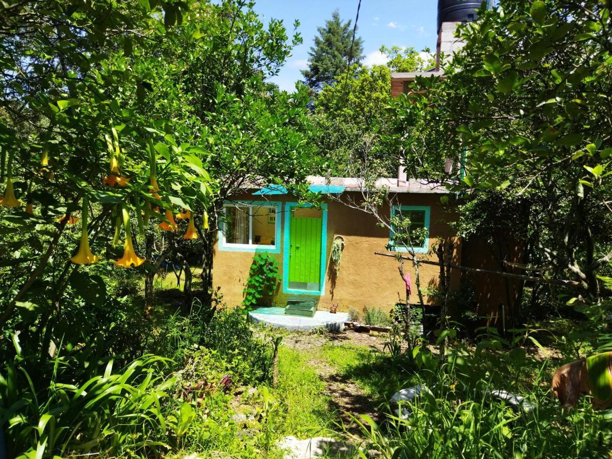 Casa Ecologica Lejlighed Tepoztlán Eksteriør billede