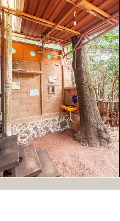 Casa Ecologica Lejlighed Tepoztlán Eksteriør billede