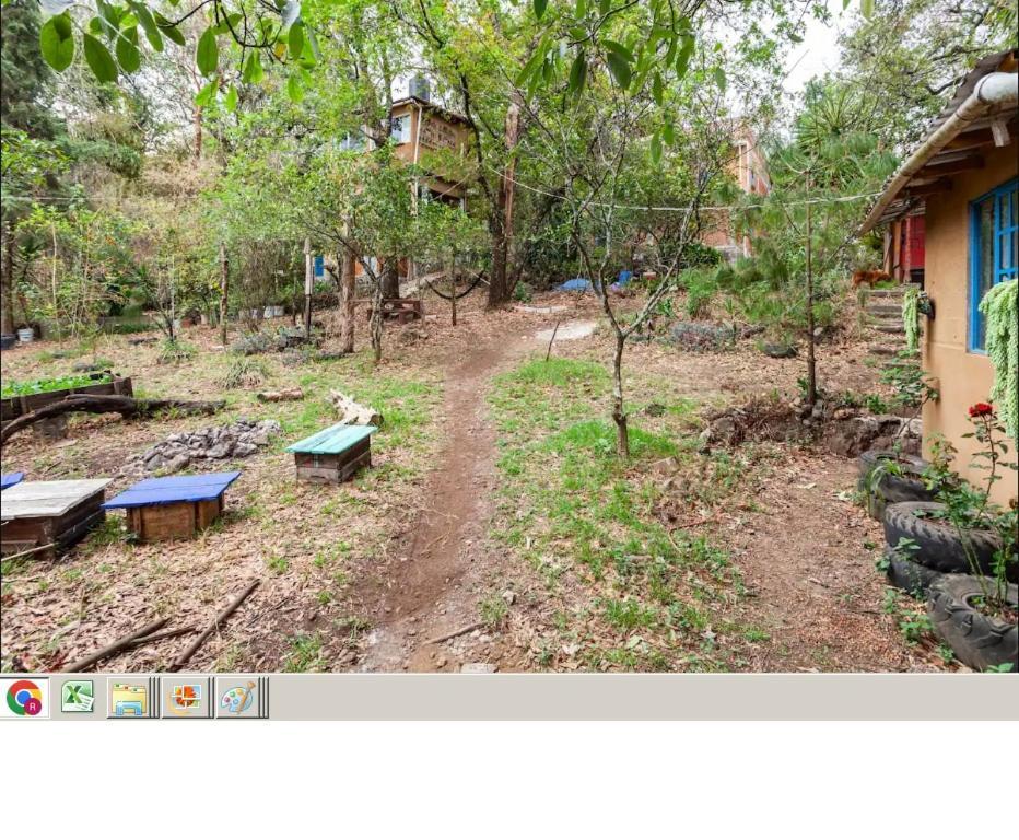 Casa Ecologica Lejlighed Tepoztlán Eksteriør billede