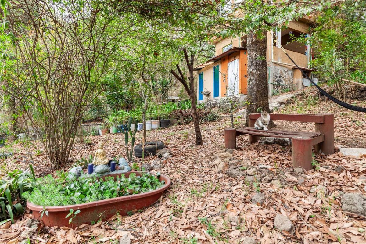 Casa Ecologica Lejlighed Tepoztlán Eksteriør billede