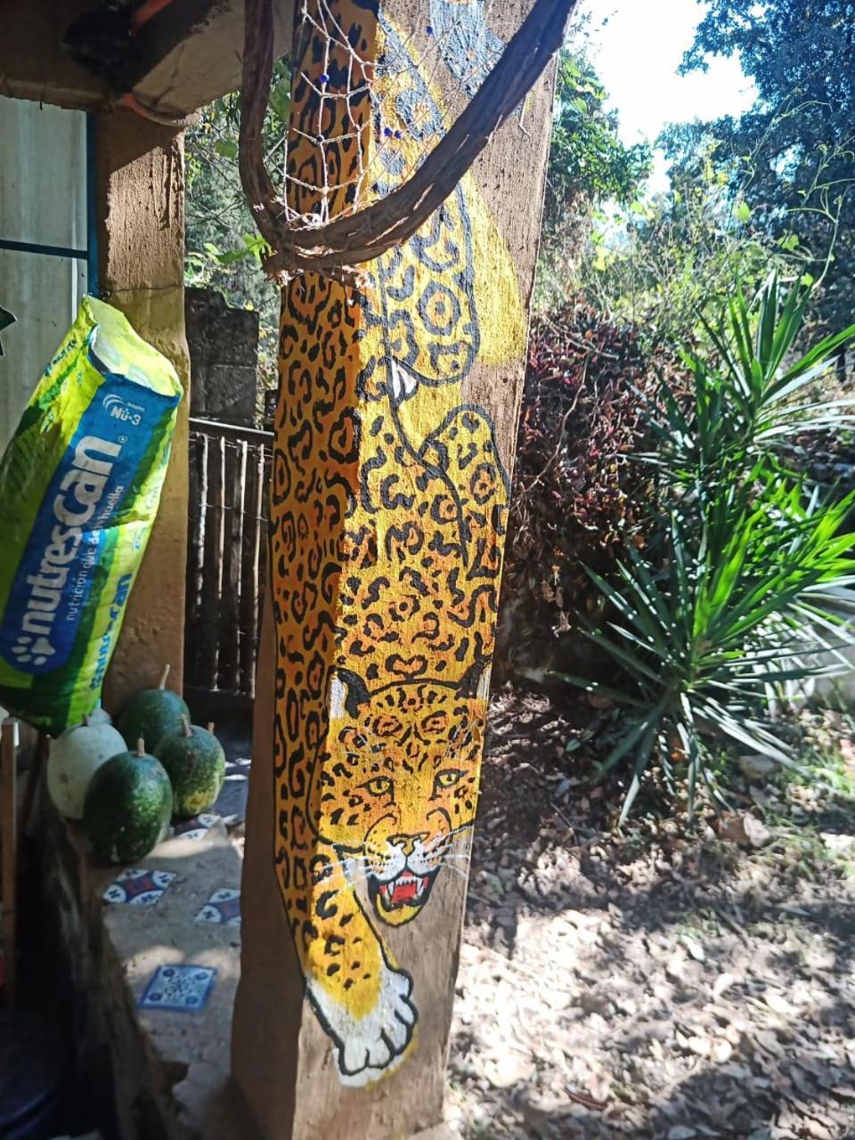 Casa Ecologica Lejlighed Tepoztlán Eksteriør billede