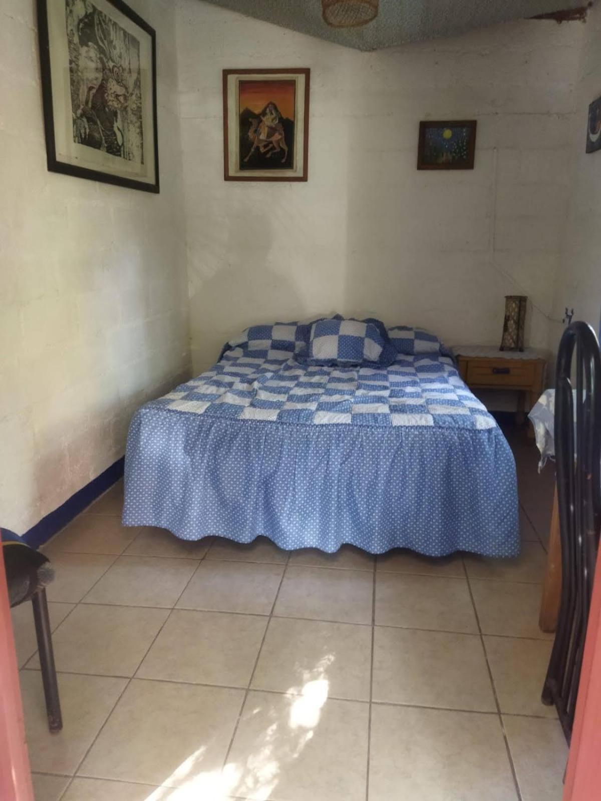 Casa Ecologica Lejlighed Tepoztlán Eksteriør billede
